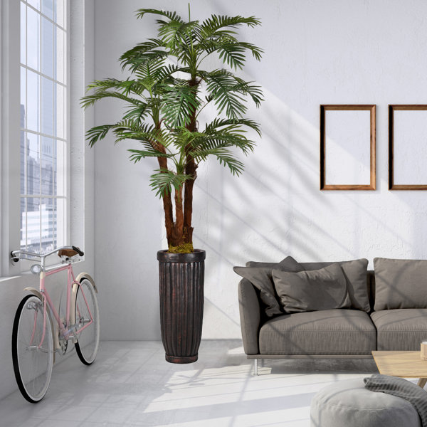 Laura Ashley Panama Floor Palm Tree in Planter & Reviews Wayfair